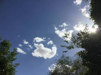 Ver fotos