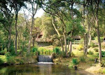 Delny Highland Lodges