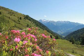 Agroturismo Hofstatthof