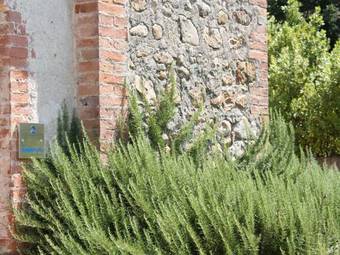 Apartment Amarante