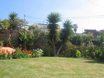 Orchidea Terrace