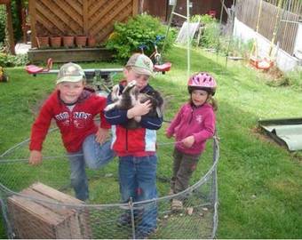 Apartment Schullehrer