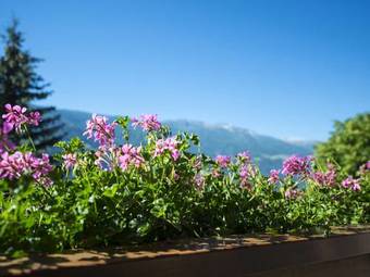 Hostal Pension Lahn