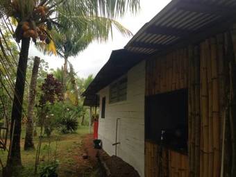 Osa Jungle Cabin