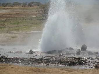 Sego Safari Lodge