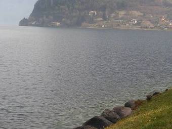 B&B Tulipano