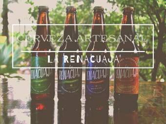Hotel La Renacuaja