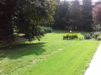 B&B Marigold