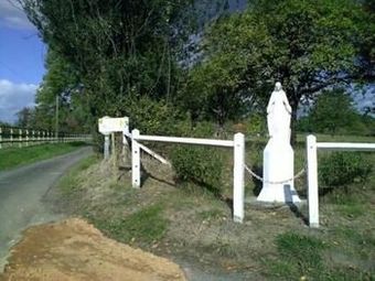 Ver fotos