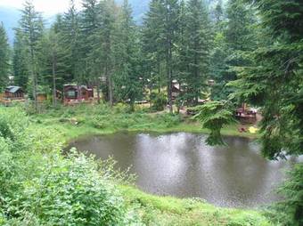 Mount Hood Village Yurt 1