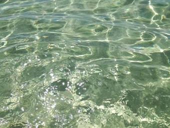 B&B Forim�a