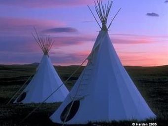 Lodgepole Gallery