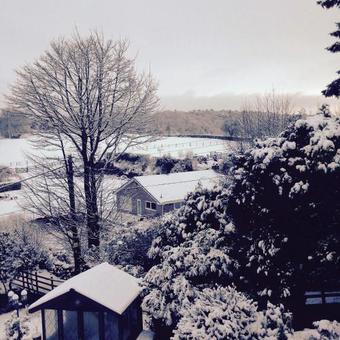 The Warren B&B