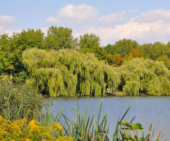 Hotel Am Park
