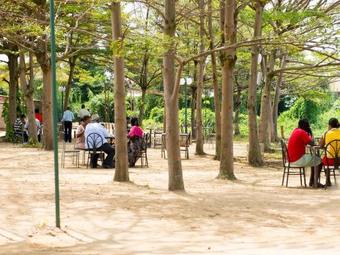 Hotel Safari Gate