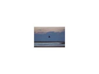 Luxury Kite-surfing Chalet