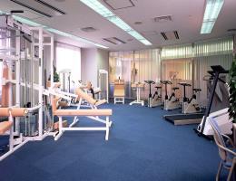 Hotel Holiday Inn Tobu Narita