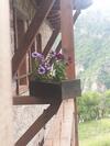 Agroturismo Guest House Vesko & Suzi