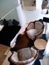 Apartamento Wanz'inn Design Appartements
