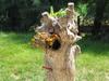 Bed & Breakfast Airone Country House