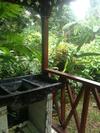 Caribbean House
