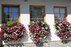 Hostal Penzion Slnecny Dom