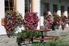 Hostal Penzion Slnecny Dom