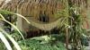 Apartamento Colibri Surf House & Flats