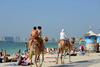 Apartamento Jumeirah Beach Apt