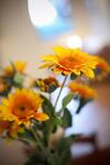 Bed & Breakfast Valle Del Metauro Country House