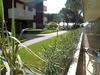 Apartamento Residenza Nido Del Gabbiano