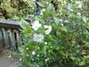 Le Mingarine B&B