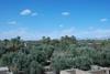 Agroturismo Dar Diafa