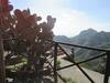 Agroturismo Rifugio Dei Tre Pini