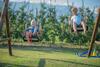 Bed & Breakfast Hotel Sonnenhof