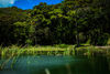 Hotel Monta�a Monteverde