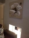 Somerset House Apartments