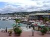 Hostal Knysna Herons Guest House