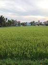Family Homestay