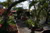 Molhe Hotel - Conde Carvalhal