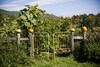 Bed & Breakfast Farmhouse Inn At Robinson Farm