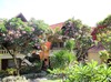 Hotel Besakih Beach Resort