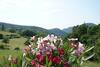 Bed & Breakfast Chambre D'h�tes Le Saint Maurice