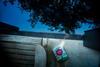 Bed & Breakfast �colodge Le Bruit De L?eau