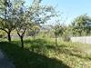 Jadis Et Le Jardin D'hesp�rides