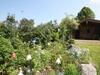 Agroturismo G�stehaus Herbstbauernhof
