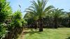 Apartamento Patio Andaluz
