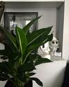 Hostal Quai 17 Maison D'h�tes