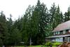 Hotel Lake Quinault Lodge