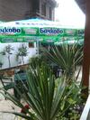 Hostal Guest House Port